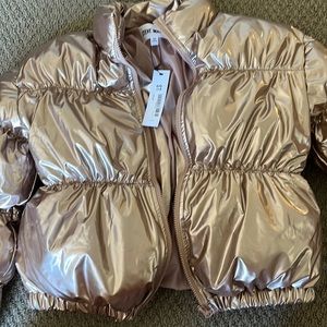NWT Steve Madden cropped puffer jacket